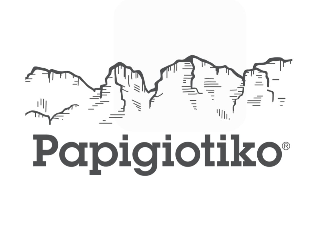 Papigiotiko Zagori logo